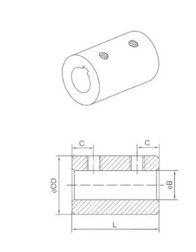 NSPT CS-Couplings